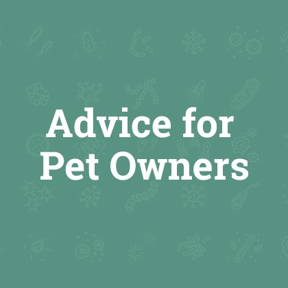 Advice for Pet Owners